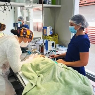 Cirurgia Veterinária