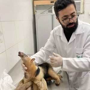 Dr. Guilherme - Neurologista